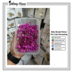 Purple Dry Baby Breth Flower For Cake Decorating