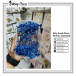 Dark-Blue Dry Baby Breth Flower For Cake Decorating